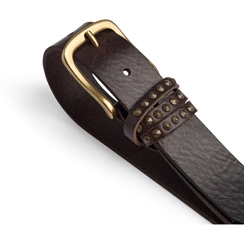 DEPECHE Belt with studs Belts 161 Dark brown